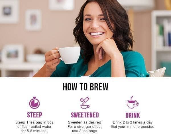 Gymnema Leaf Extract - Organic - Tea 24/2g-Gut Support