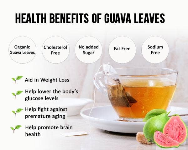 Guava Leaf Tea - Organic - Tea 24/2g - Sleep Aid & Blood Sugar Support - Herbal Goodness