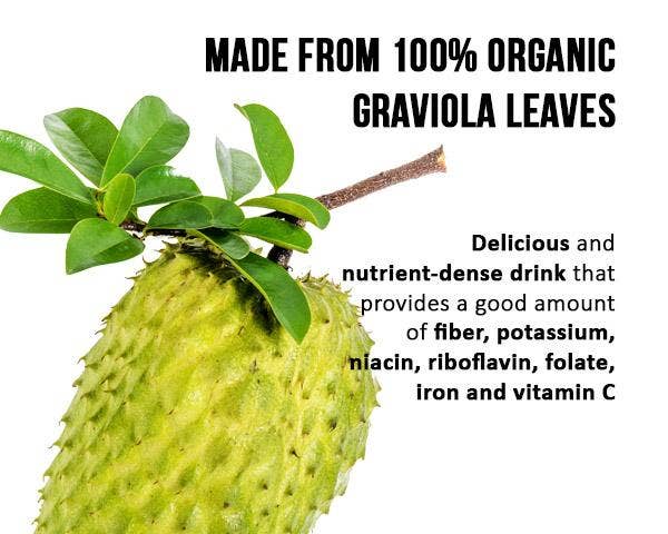 Soursop Leaf Tea - Graviola Extract - Organic Teabags 24/1g - Cell Immunity & Relaxation - Herbal Goodness