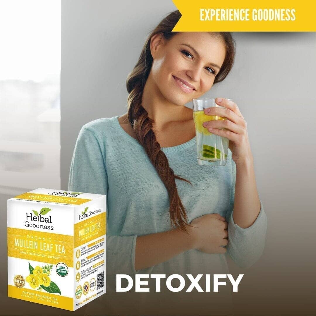 Mullein Leaf Tea - Organic 24/2g - Lung & Respiratory Support - Herbal Goodness