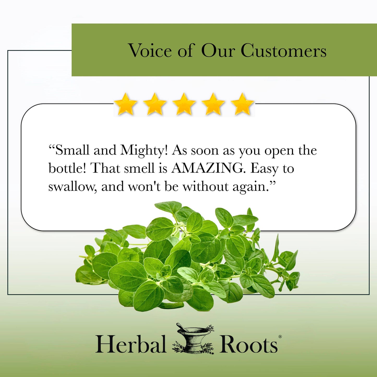 Herbal Roots Oil of Oregano Capsules