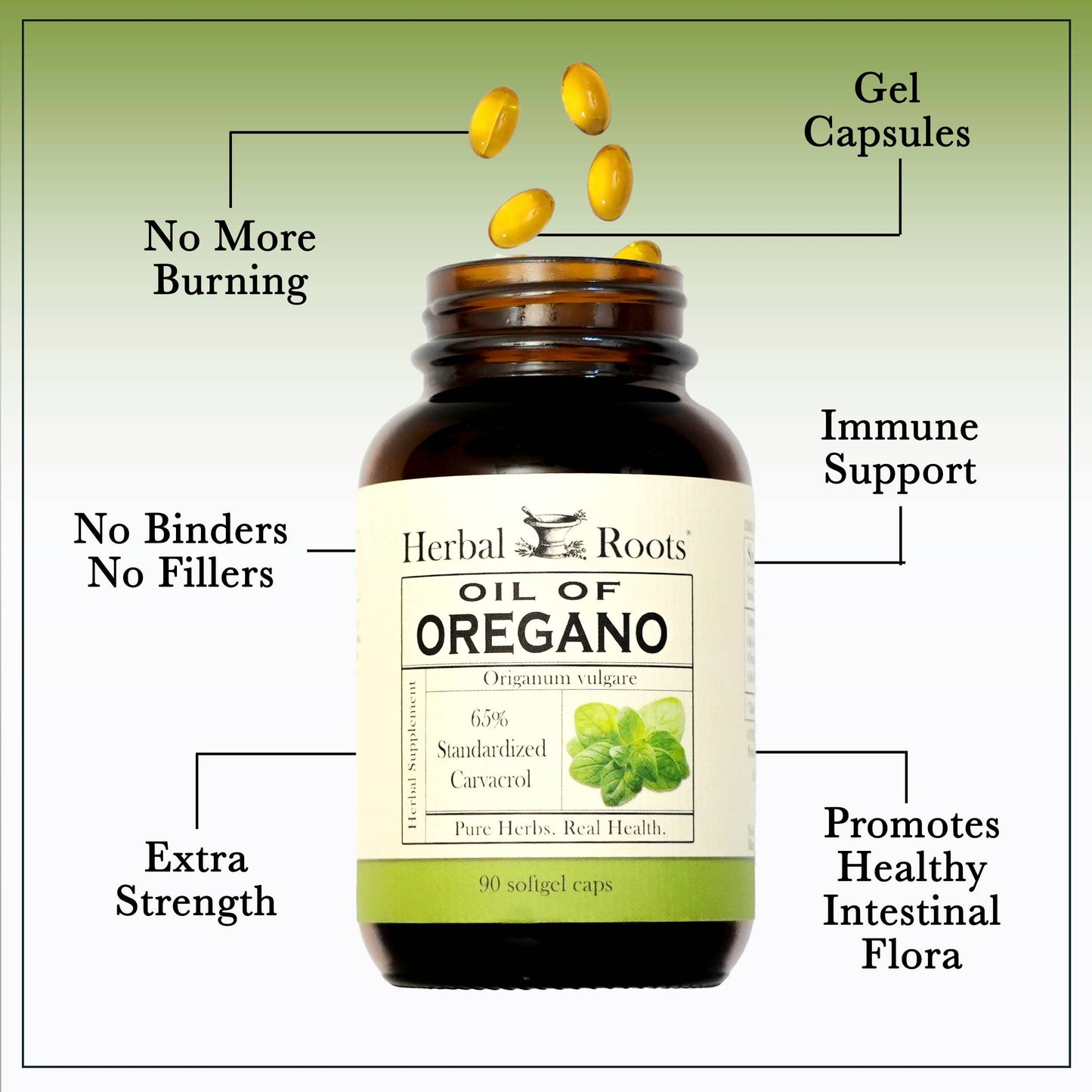 Herbal Roots Oil of Oregano Capsules