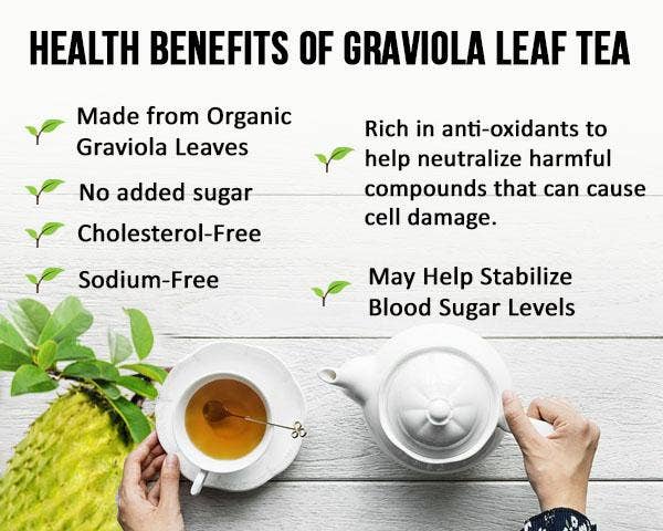 Soursop Leaf Tea - Graviola Extract - Organic Teabags 24/1g - Cell Immunity & Relaxation - Herbal Goodness