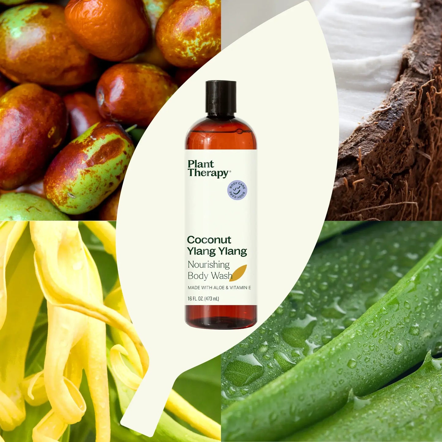 Coconut Ylang Ylang Body Wash 16 oz