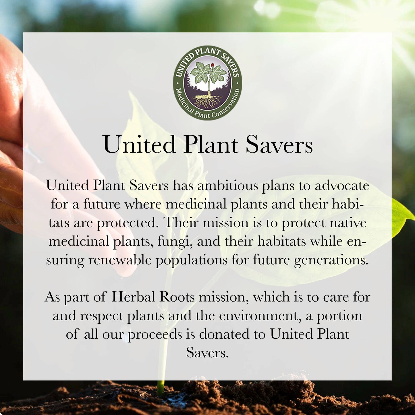 Herbal Roots Oil of Oregano Capsules