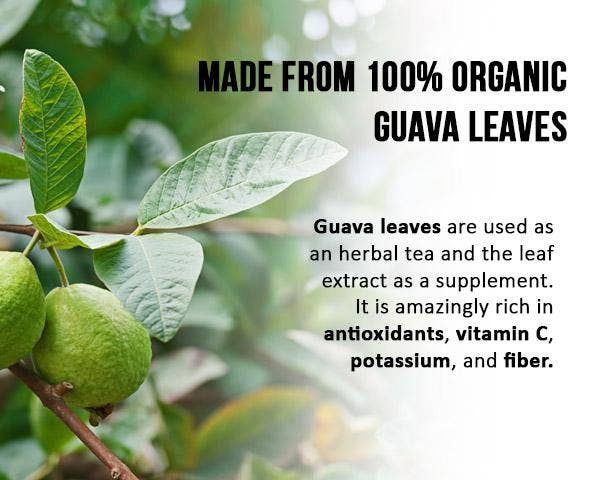 Guava Leaf Tea - Organic - Tea 24/2g - Sleep Aid & Blood Sugar Support - Herbal Goodness